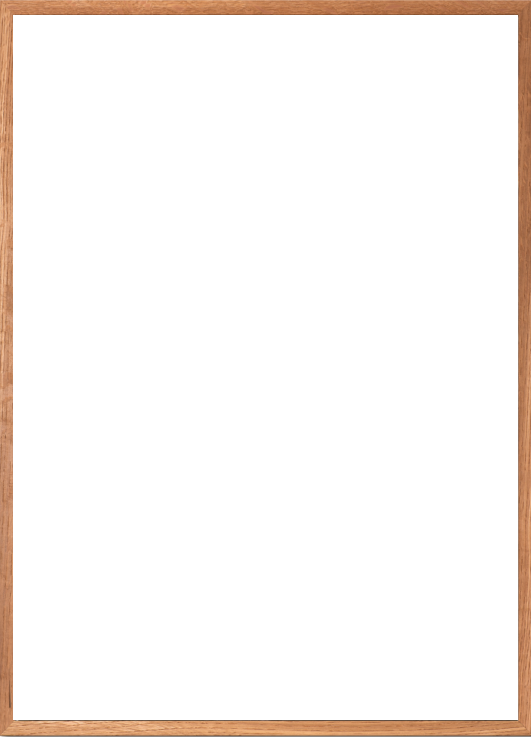 frame_portrait