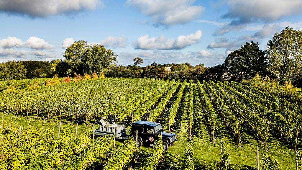 Top Christmas Gift Ideas for 2024: Thoughtful Presents for Everyone on Your List! – eco-friendly travelling & sustainable way of life Top Christmas Gift Ideas for 2024: Thoughtful Presents for Everyone on Your List! – eco-friendly travelling & sustainable way of life